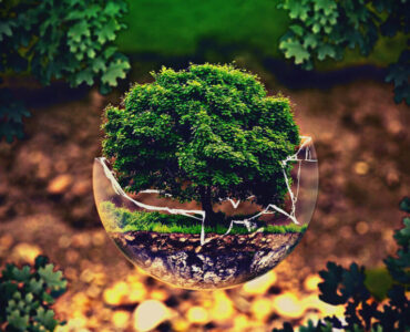 digitalización masiva de documentos