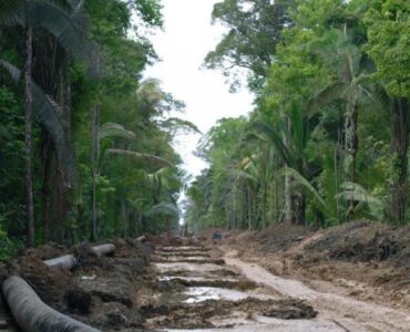 Digitalización masiva de documentos