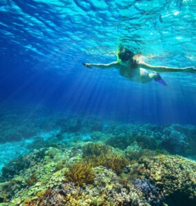 Cabo snorkeling tour