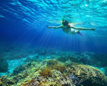 Cabo snorkeling tour
