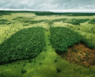 Digitalizacion masiva de documentos