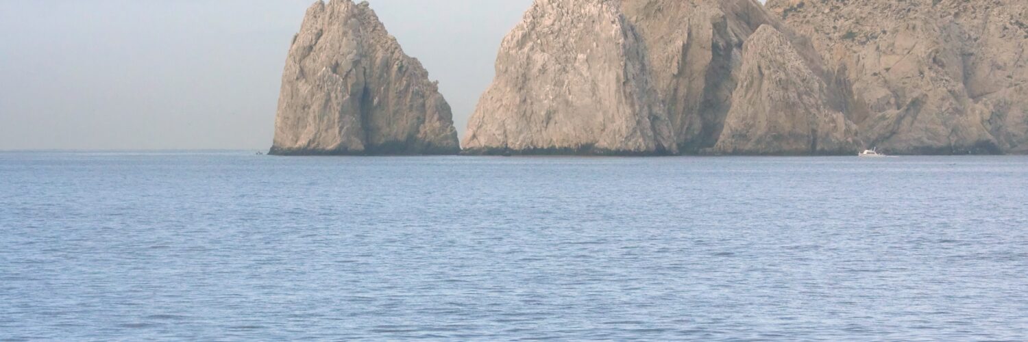 Amazing Whale Watching Tour in Los Cabos