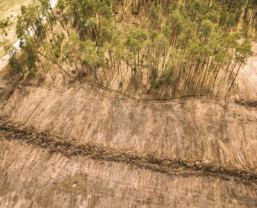 Sistemas de Gestión Documental y Su Impacto Ambiental