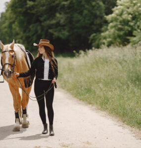 Horseback riding Cabo