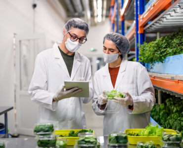 Food Handler Certificates florida