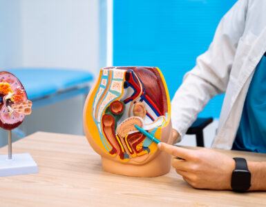 urology doctor in NY City