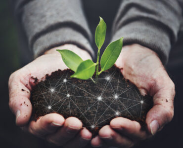 digitalizacion de documentos, digitalizacion de archivos, transformacion digital en Colombia