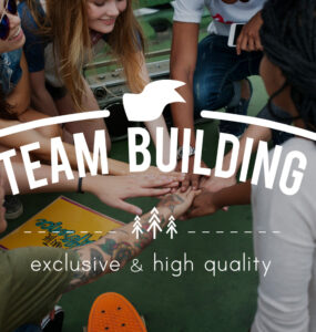 Cross-functional team building