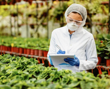 Food Safety Expert