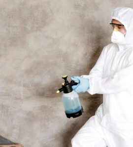 24-hour mold removal services in Orlando