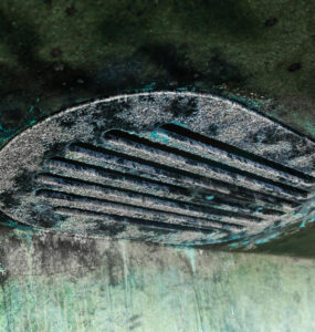 The Unseen Danger: How Mold Ends Up in Your Ducts