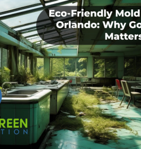 Eco-Friendly Mold Removal in Orlando: Why Going Green Matters