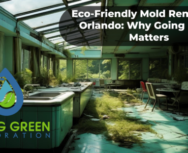 Eco-Friendly Mold Removal in Orlando: Why Going Green Matters