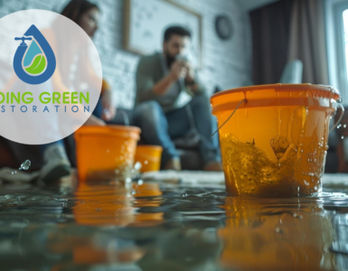 Orlando Water Clean Up & Restoration