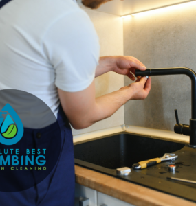 professional plumbing service