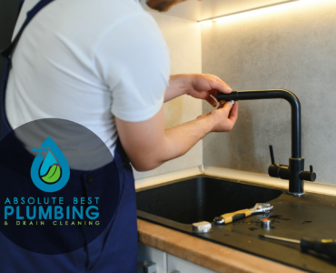 professional plumbing service