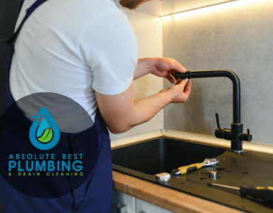 professional plumbing service