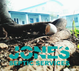 Tree Roots and Septic Systems: A Costly Problem You Can Avoid