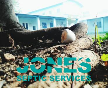 Tree Roots and Septic Systems: A Costly Problem You Can Avoid