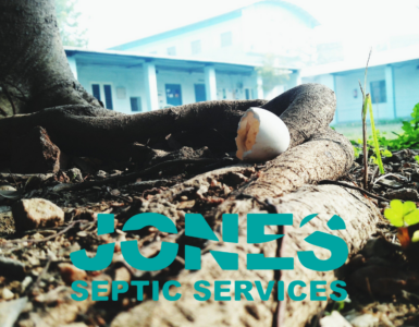Tree Roots and Septic Systems: A Costly Problem You Can Avoid