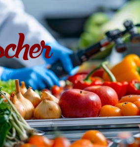 food service expert witness