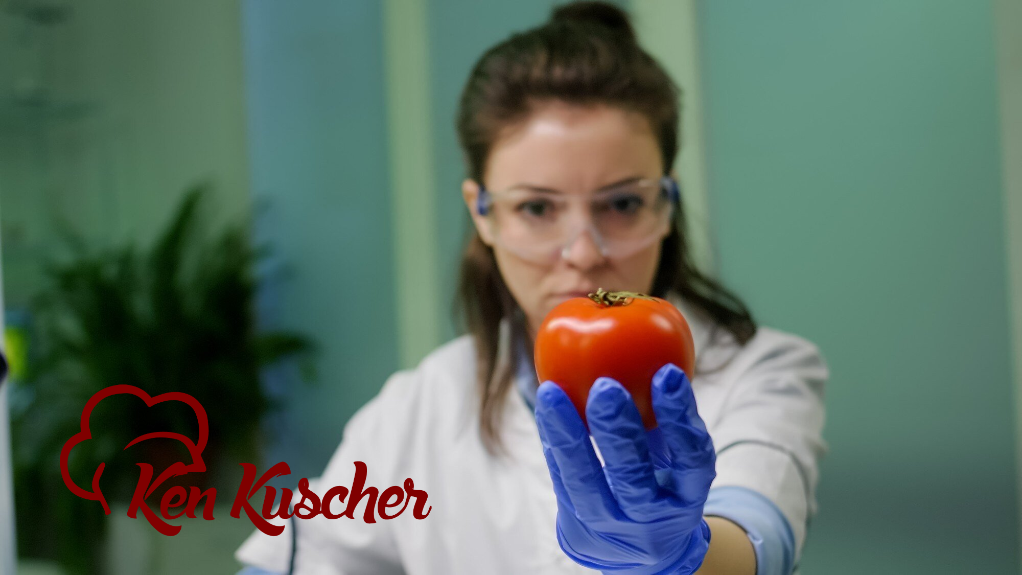 florida food handler certificates