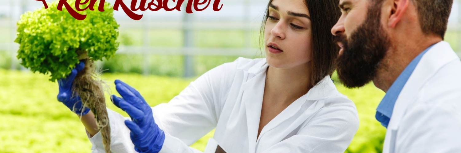florida food handler certificates