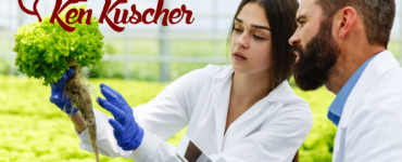 florida food handler certificates