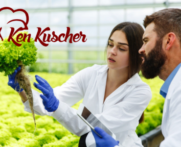 florida food handler certificates