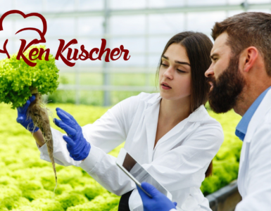 florida food handler certificates