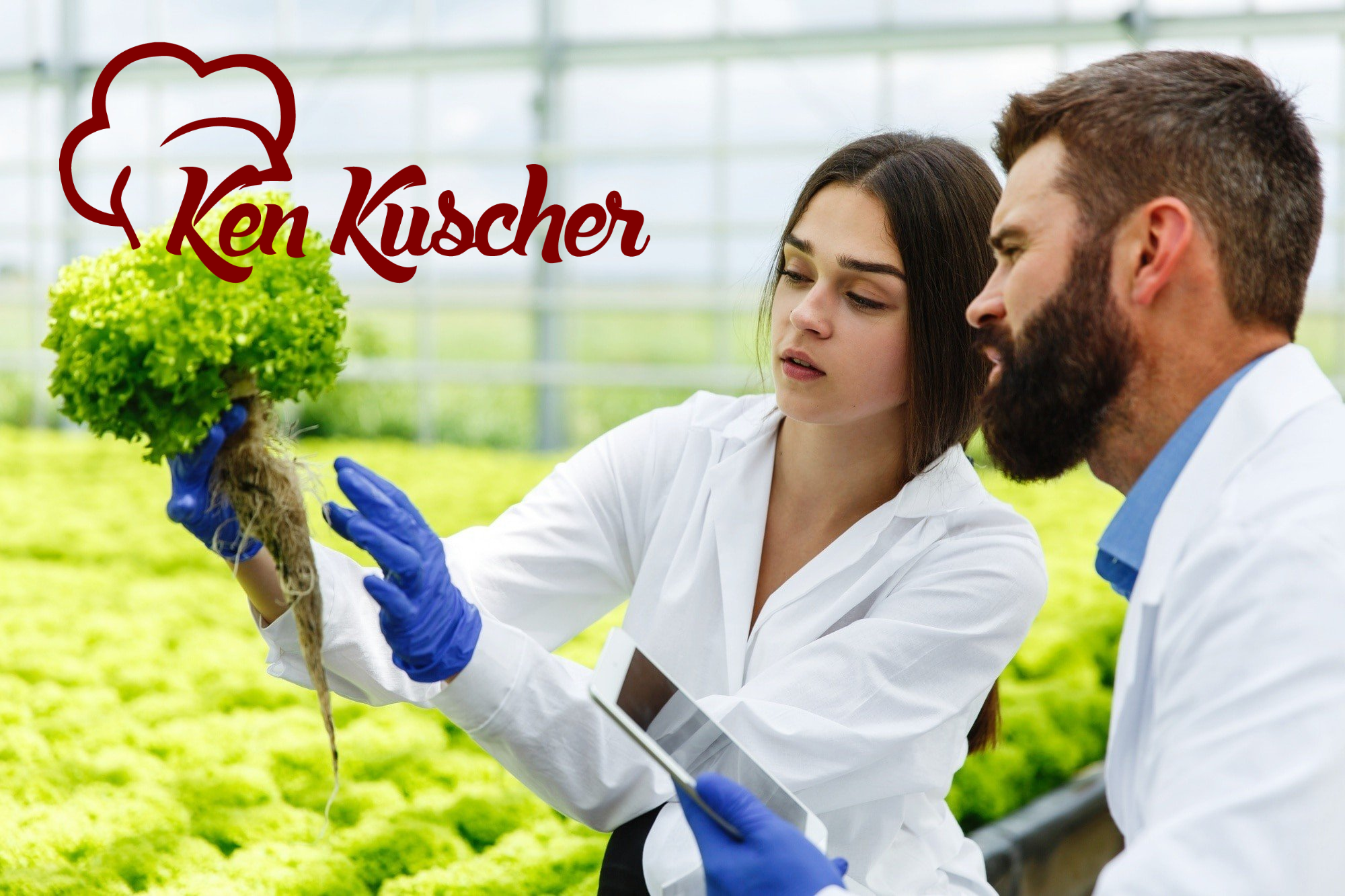 florida food handler certificates