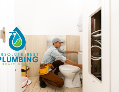 Clogged Toilet Repair Services Orlando