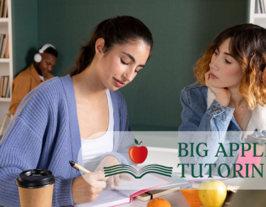 private tutoring