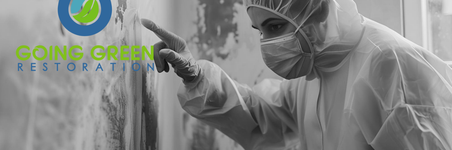 Orlando mold removal