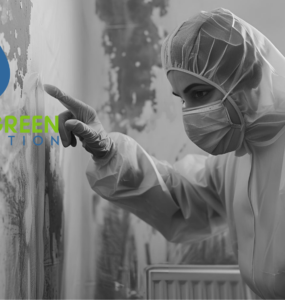 Orlando mold removal
