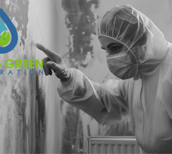 Orlando mold removal