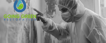 Orlando mold removal