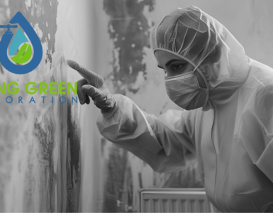 Orlando mold removal