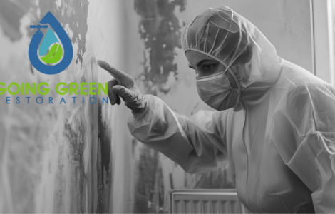 Orlando mold removal