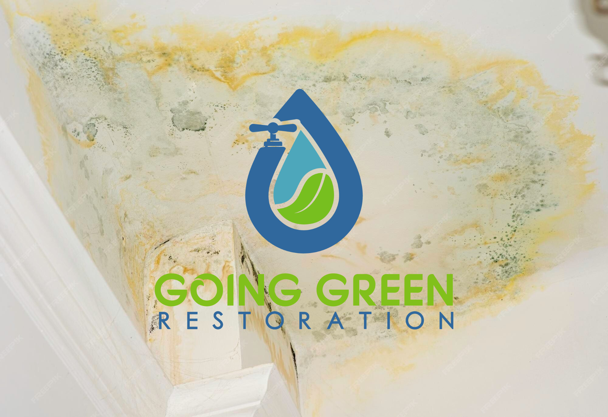 Orlando mold removal