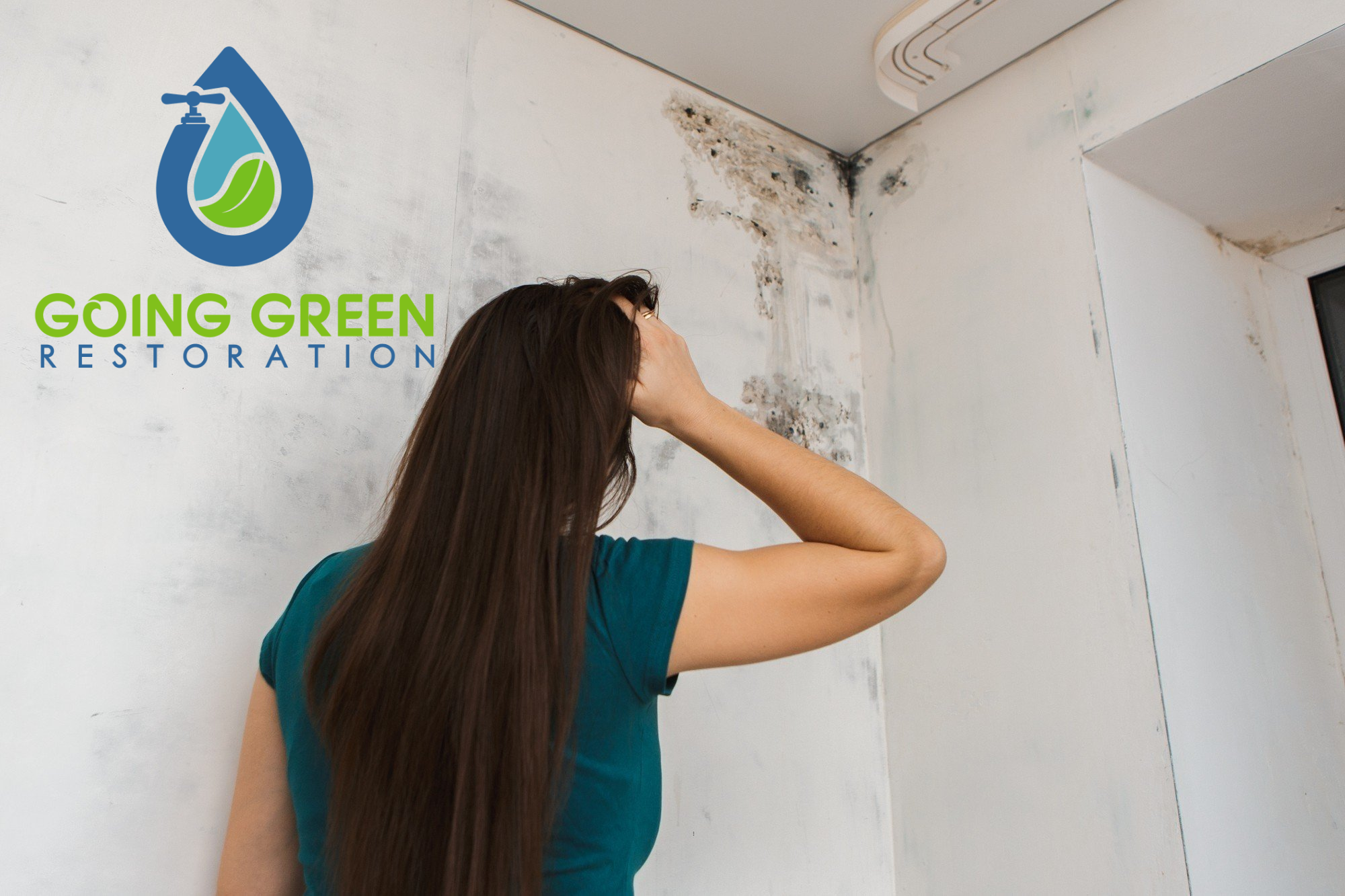 Orlando mold removal