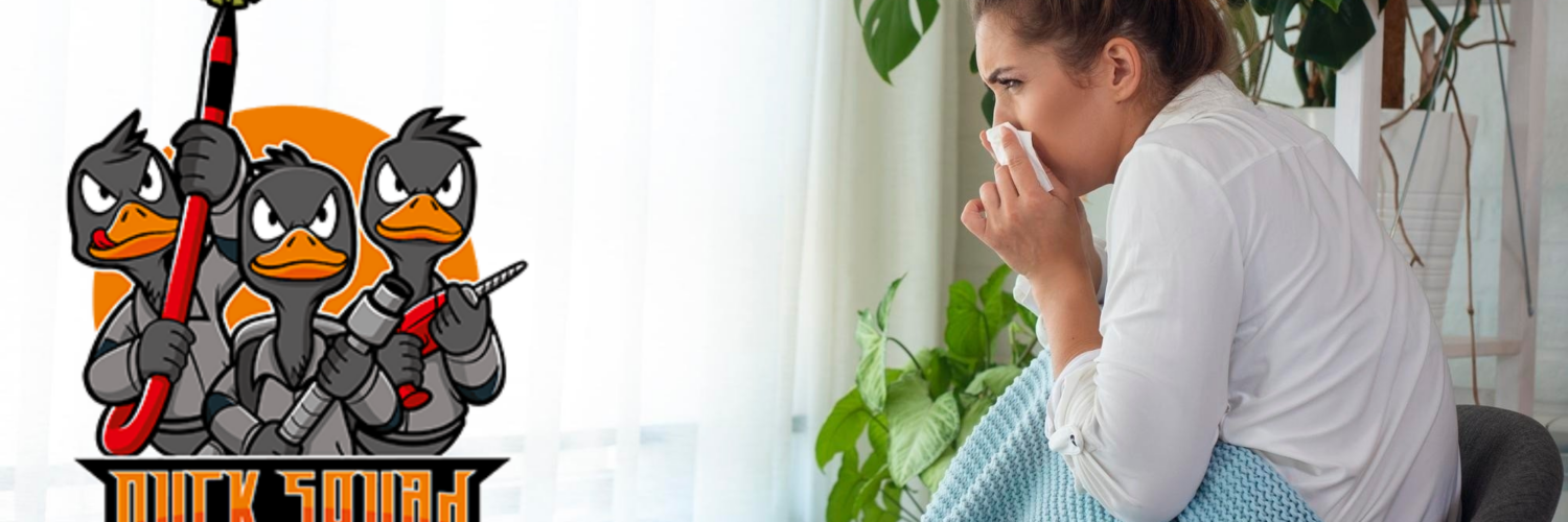 Duct Cleaning service Orlando