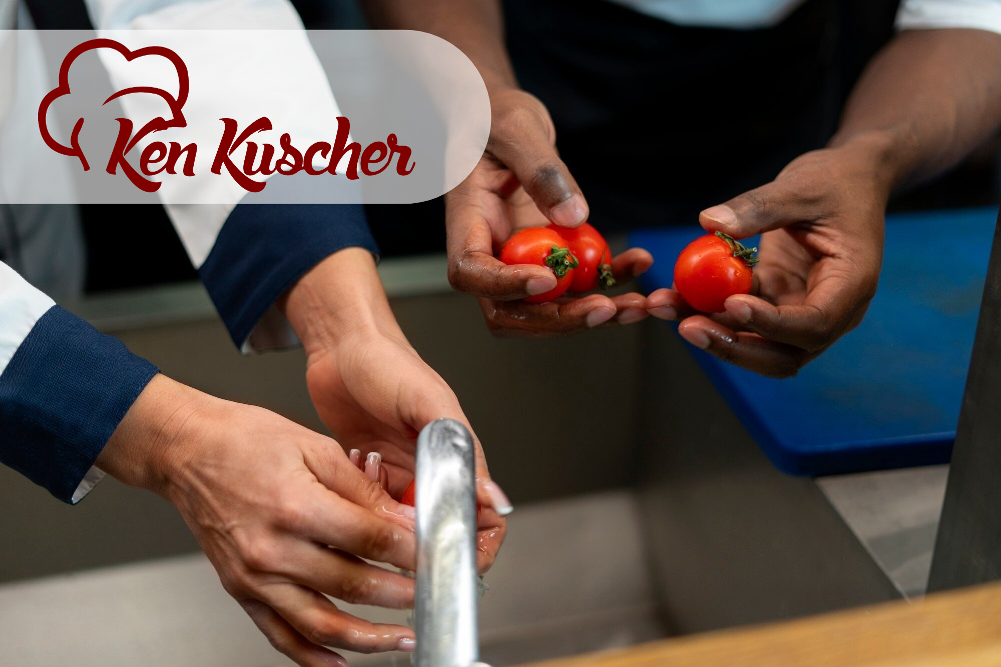 florida food expert witness