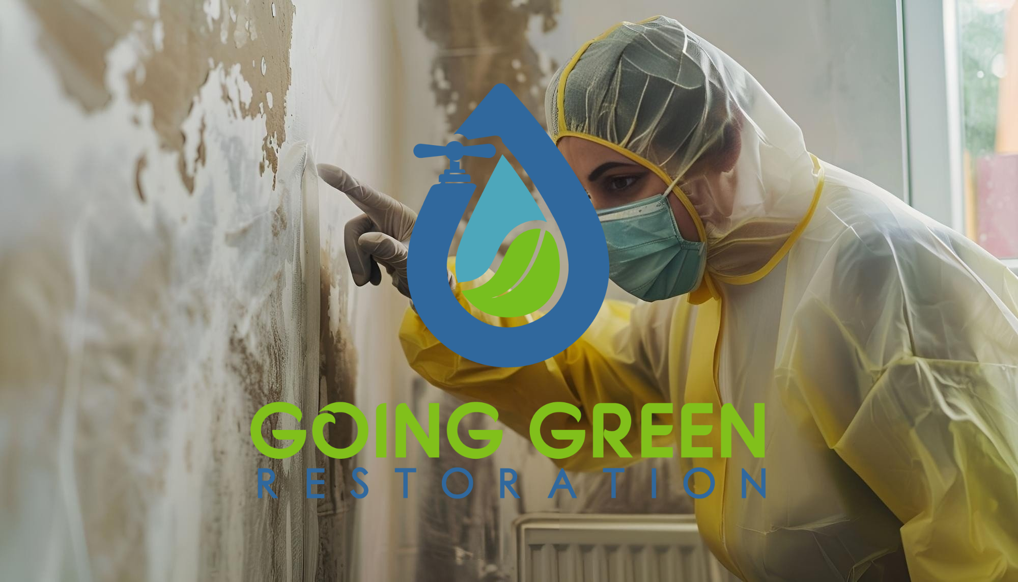 24 Hour Mold Removal Services Orlando