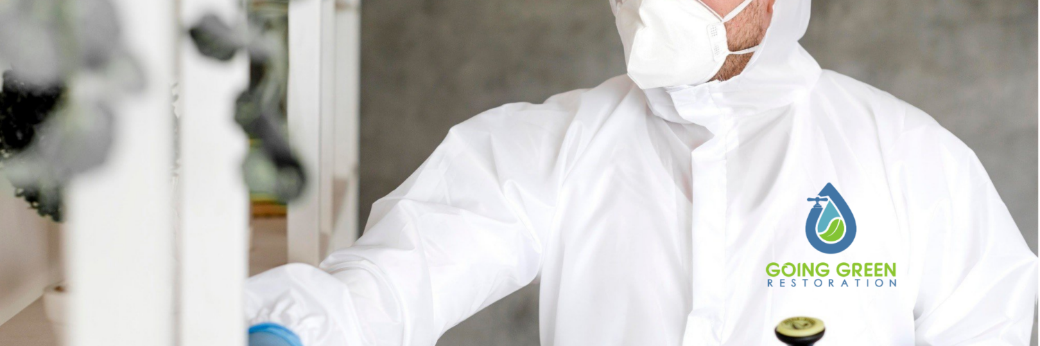 24 Hour Mold Removal Services Orlando