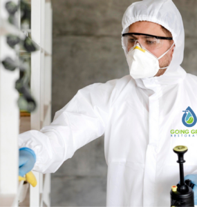 24 Hour Mold Removal Services Orlando