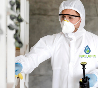 24 Hour Mold Removal Services Orlando