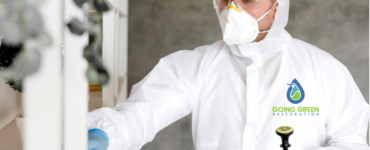 24 Hour Mold Removal Services Orlando