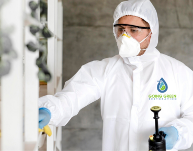 24 Hour Mold Removal Services Orlando