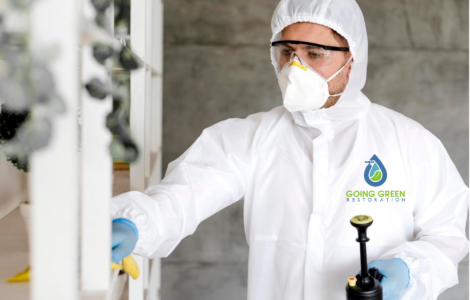 24 Hour Mold Removal Services Orlando